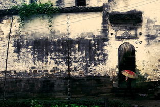 關(guān)于雨巷尋香的詩句