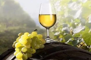 唐代,詩(shī)句,葡萄酒