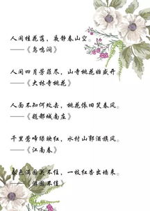 詩句,春天,大全,文章