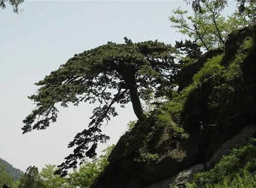 關(guān)于泰山的詩(shī)句三級(jí)