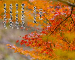 關(guān)于七言冬天的詩句