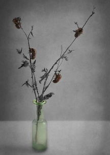 關于彼一時此一時的詩句