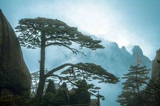 描寫黃山有名的古詩句