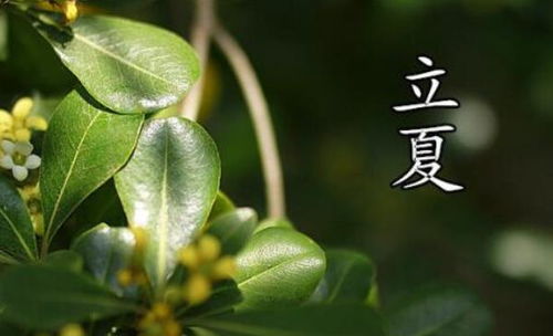 關(guān)于立夏下雨詩句