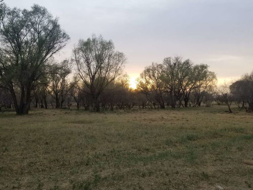 風(fēng)景的詩(shī)句古詩(shī)四級(jí)