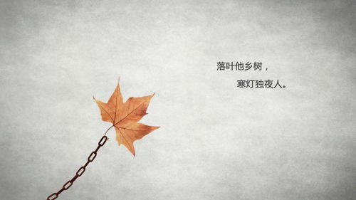 關(guān)于一人孤獨(dú)喝酒的詩句