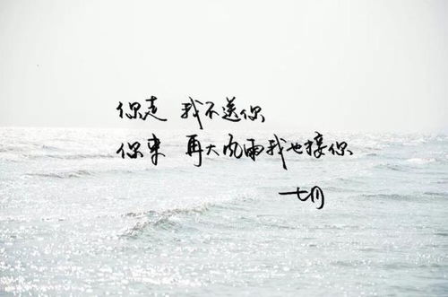 關(guān)于往后余生的詩句