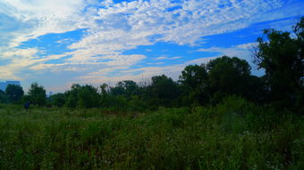 形容天水一色的詩句,贊美天水一色的詩句,天水一色的經(jīng)典詩句