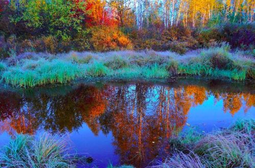 關(guān)于登山的古詩(shī)句,表達(dá)喜悅的古詩(shī)句,秋日登山的古詩(shī)句