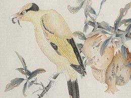 關(guān)于石榴和黃鸝的詩句