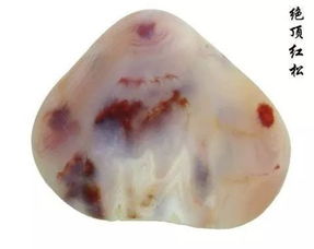 關(guān)于講究方法的詩句