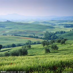 關(guān)于鄉(xiāng)村田野風(fēng)光的詩句