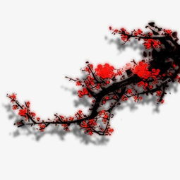關(guān)于的梅花的詩句