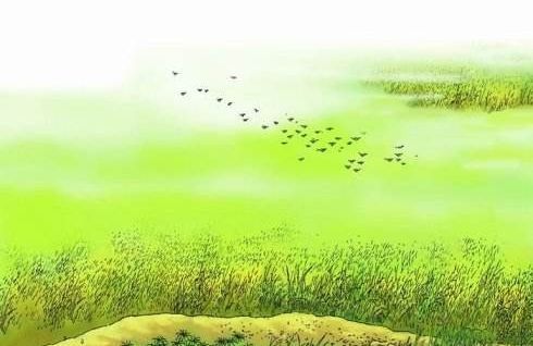 贊美春天的詩(shī)句大全,描寫(xiě)春天的詩(shī)句大全,杜甫春天的詩(shī)句大全