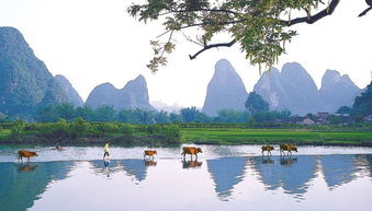 關(guān)于陽(yáng)朔詩(shī)句