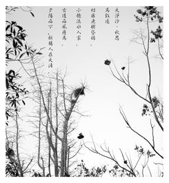 關于蘭州家鄉(xiāng)的詩句