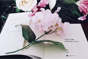 席慕蓉關(guān)于情感的詩句