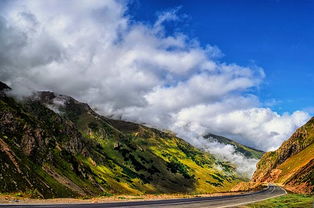 風含的詩句古詩詞
