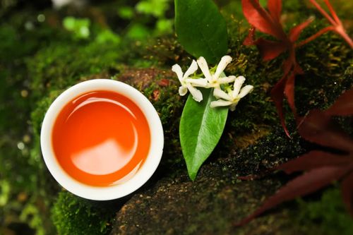 關(guān)于以茶思人的詩句