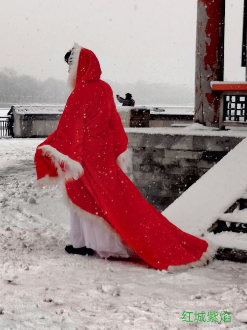 風(fēng)花雪夜的古詩句