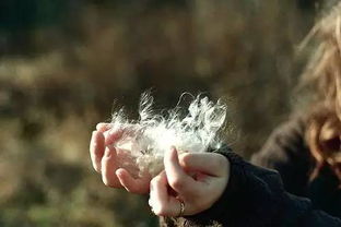 詩句,承諾,情感