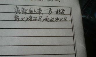 風(fēng)字的古詩(shī)句