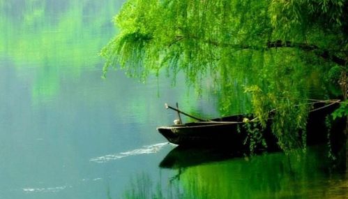 古詩,詩句,池塘