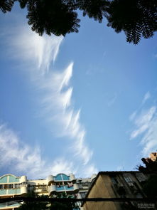 冬天藍天白云的古詩句