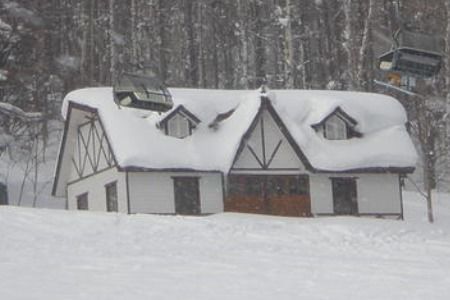 贊美雪優(yōu)美的詩句古詩大全