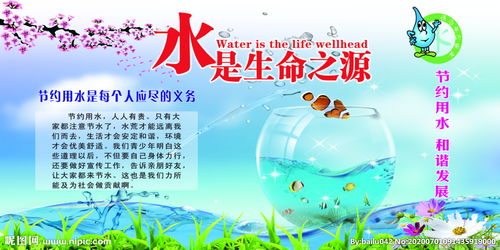 水是生命之源的古詩句