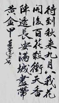 古詩(shī),詩(shī)句,拼音,菊花