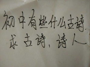 初中古詩(shī)有雪的詩(shī)句