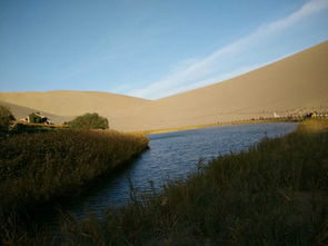 詩(shī)句,景色,西部