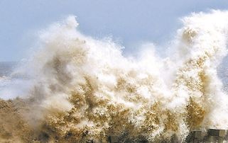 錢塘江邊的弄潮兒,錢塘江弄潮兒,錢塘江弄潮兒的描寫