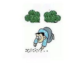 撿了芝麻丟了西瓜有關(guān)的古詩句