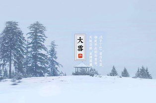 關(guān)于一夜大雪的詩句