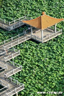 關(guān)于人工湖的優(yōu)美詩句