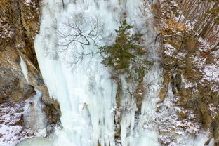 關(guān)于結(jié)冰的瀑布的詩(shī)句