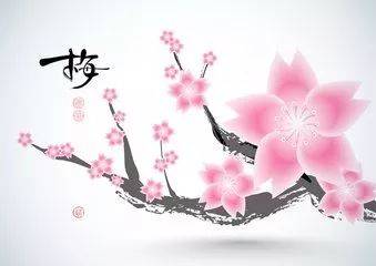 關(guān)于花品質(zhì)的詩句