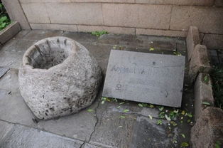 關(guān)于王謝的詩句