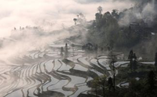 詩(shī)句,春天,大全