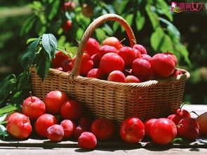 包含李子的古詩句