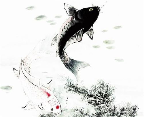 寫景詩句摘抄加賞析,寫景的詩句及賞析,夢游天姥吟留別寫景詩句賞析