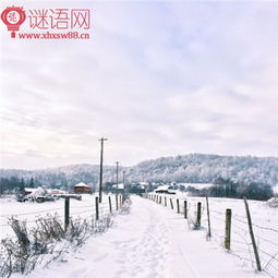 有關(guān)雪花的古詩句