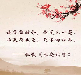 古詩詞帶路的詩句