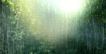 關(guān)于春風(fēng)詩(shī)句分類