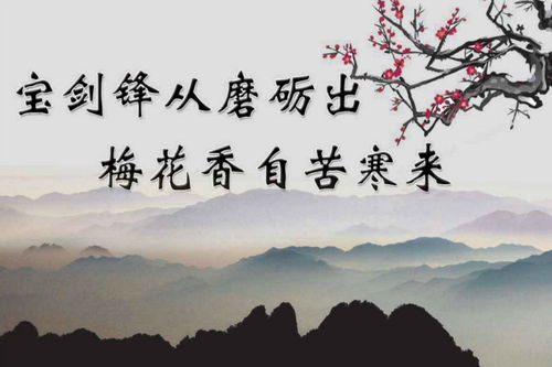 關(guān)于面對(duì)挫折的古詩(shī)句