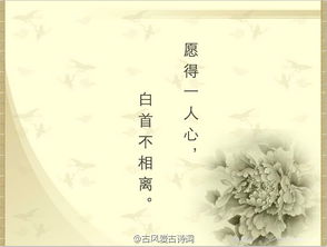 經(jīng)典古詩句子唯美