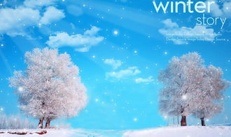 小學(xué)冬天景色的詩句古詩