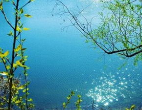 關(guān)于四川春天的詩(shī)句